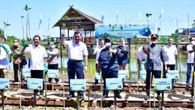 Di Era Gubernur Andi Sudirman, Masif Dilakukan Penanaman Mangrove di Wilayah Pesisir Sulsel