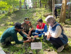 Peringati Hari Bumi Sedunia, Pertamina Patra Niaga Fuel Terminal Parepare Tanam 2.500 Pohon di Kebun Raya Jompie