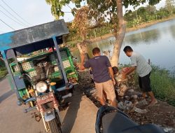 Komunitas Nelayan Bersih-bersih Danau Mawang