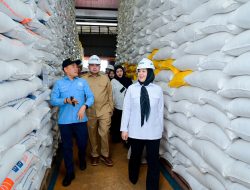 Stok Beras Sulsel 500 Ribu Ton, DPR RI dan Wagub Tinjau Bulog Makassar