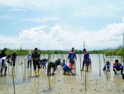 Pertamina Patra Niaga Sulawesi Tanam 1.000 Bibit Mangrove di Cagar Alam Panua