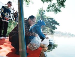 Pemkab Gowa Kerjasama Kemendikdasmen Tebar Benih Ikan di Danau Mawang