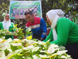 Pertamina Sulawesi Hadirkan Keceriaan: Serunya Menanam, Bahagianya Memanen Bersama KWT Baji Minasa