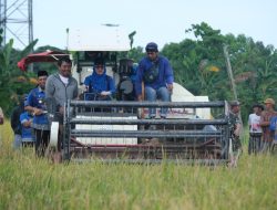 Gowa Target Jadi Lumbung Pangan Mandiri Sulawesi Selatan